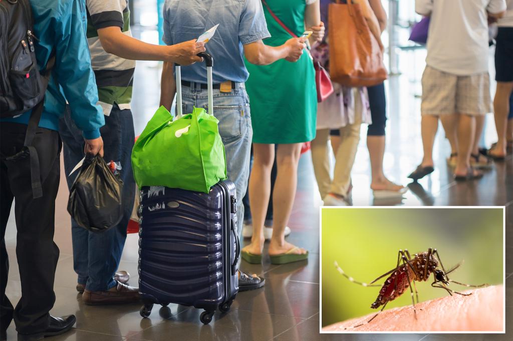 Malaria cases in airport and luggage are on the rise: new study